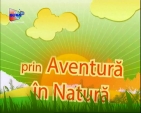 Aventura in Natura - Incursiune pe Varful Pietrosul,...