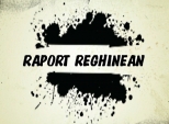 Raport Reghinean - Concurs de Power Point