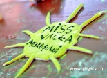 Miss Valea Muresului, Editia 2014 - Proba de creatie